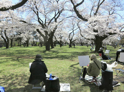 花見はスケッチで！ | 倉敷市　吉井さん