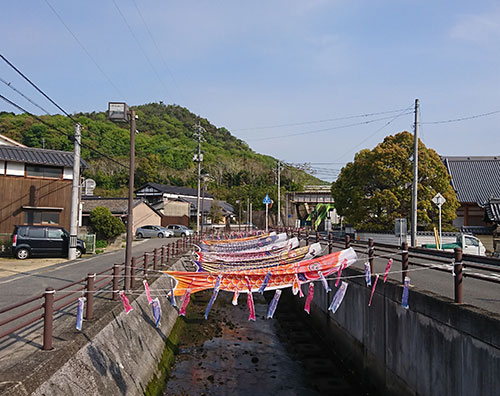 癒しのこいのぼり | 備前市　土橋さん