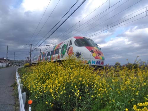 菜の花と列車 | 倉敷市　柏﨑さん