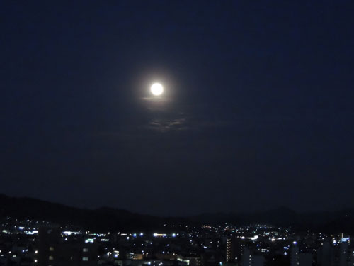 おうちにゐても… | 高松市 泉本さん