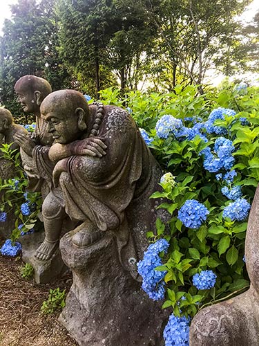 羅漢様と紫陽花 | 観音寺市　真鍋さん