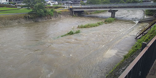 梅雨の本郷川 | 新見市　宮本さん