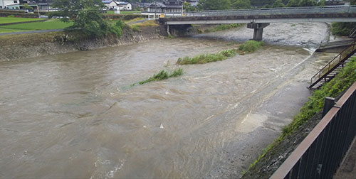 梅雨の本郷川 | 新見市 宮本さん