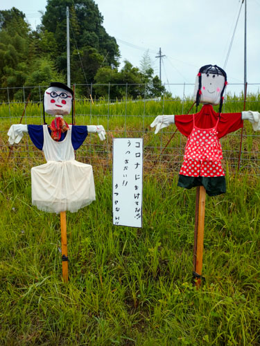 かかしの祭り | 吉備中央町　綱島さん
