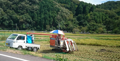 稲刈り | 備前市　土橋さん