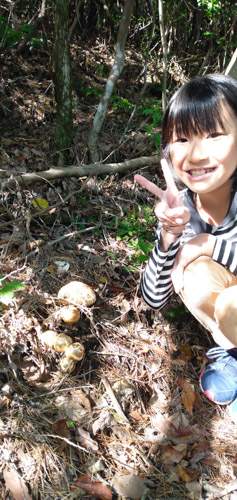 初めての松茸 | 高梁市　常松さん