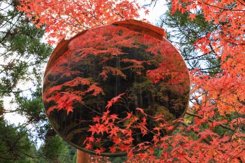 ミラーに紅葉 | 備前市　萩原さん