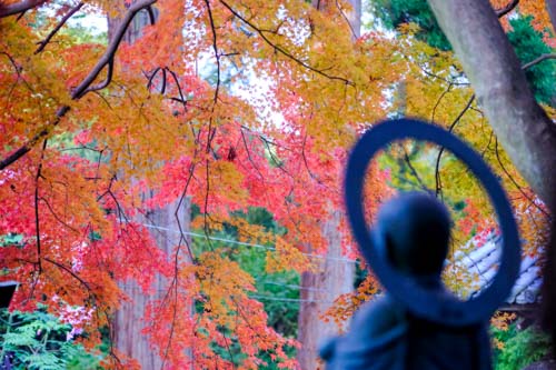 紅葉を愛でるお地蔵さん | 坂出市　三好さん