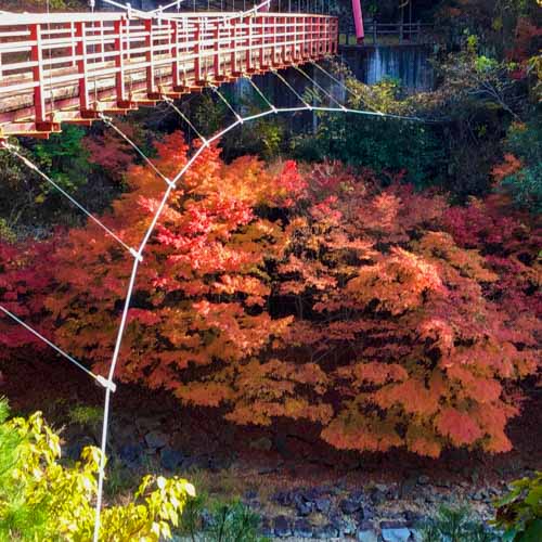 三國渓 | 岡山市 やじさん