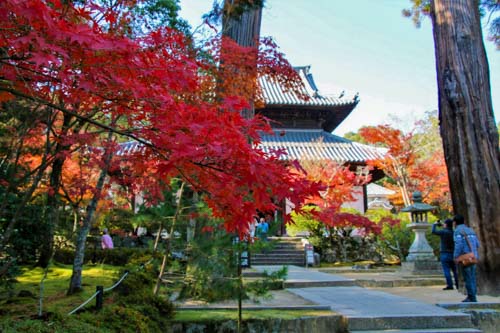 宝福寺の紅葉 | 美咲町　結石さん