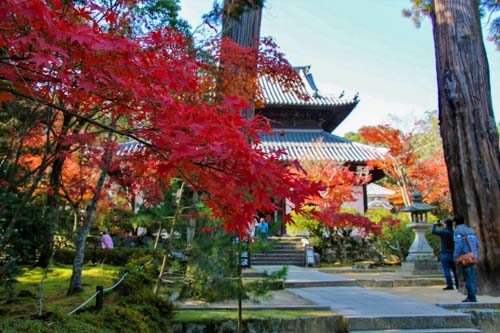 宝福寺の紅葉 | 美咲町 結石さん