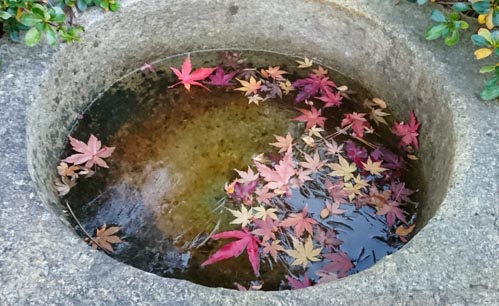 初氷 | 備前市 土橋さん