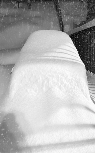 大雪 | 鏡野町 石原さん