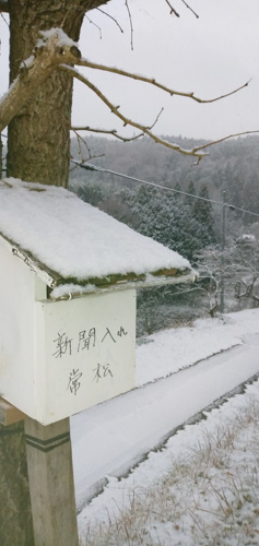 元旦の雪 | 高梁市 常松さん