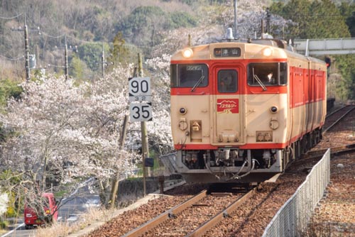 桜色の列車 | 岡山市　河西さん