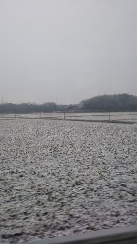 雪 | 岡山市 岩澤さん