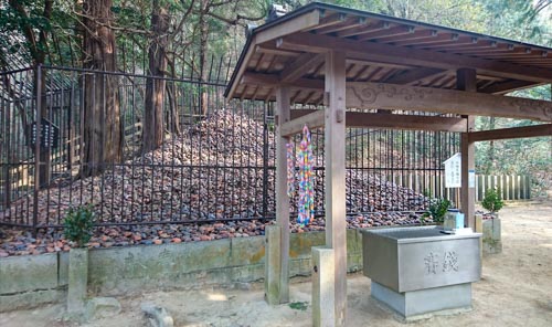 丑年