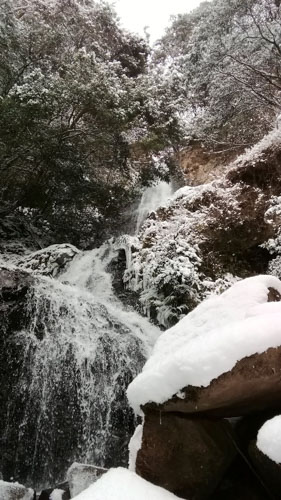冬の鈴木の滝 | 高梁市　丹下さん