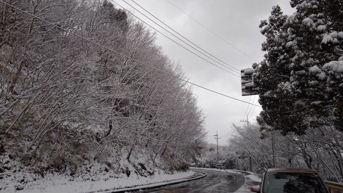 雪景色 | まんのう町　コスモスさん