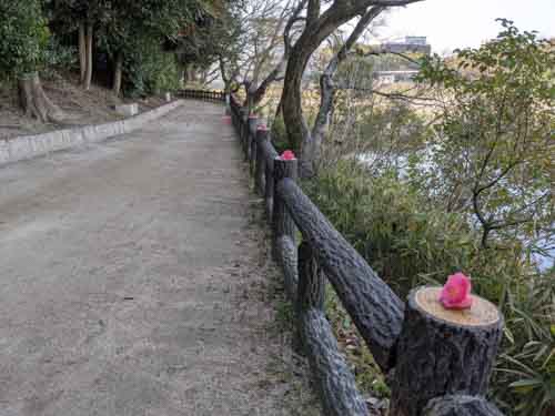 一体だれが? | 岡山市 近藤さん