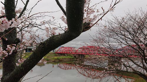 雨の井原堤 | 瀬戸内市 河崎さん
