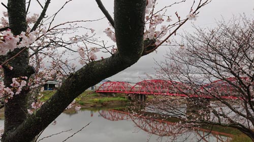 雨の井原堤 | 瀬戸内市　河崎さん