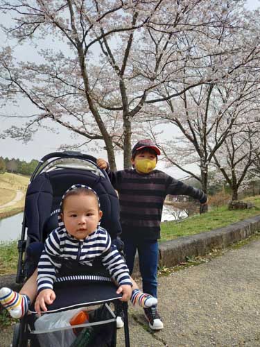 初めての桜 | 津山市　平井さん