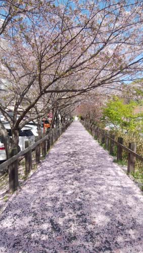 びっくり! | 倉敷市 守さん