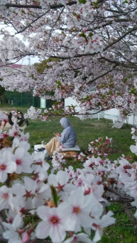 桜庭風夕 | 備前市 吉形さん