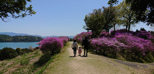 絶景とツツジ | 備前市 土橋さん
