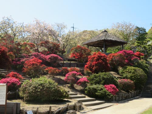 ツツジ公園 | 早島町　佐藤さん