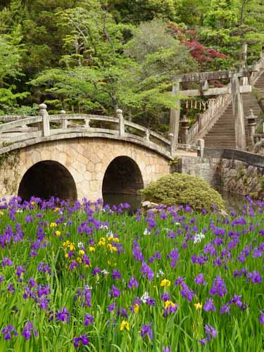 しっとりと咲いて | 岡山市　横山さん