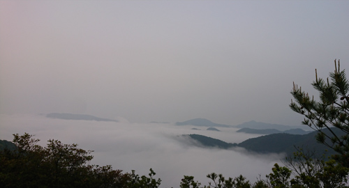 雲海 | 備前市 土橋さん