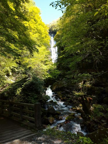 神庭の滝の新緑 | 真庭市 下田さん