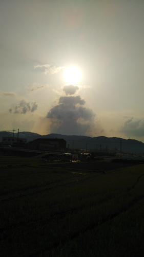 西日の大仏 | 赤磐市 たぬき山のぽん吉さん