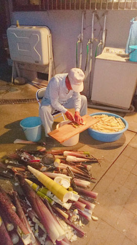メンマ作り | 新見市 宮本さん