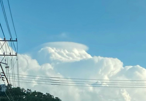 雨も終わり？？ | 新見市　かーかさん