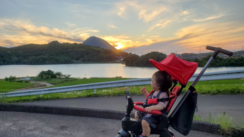 夏の夕暮れ | 丸亀市　入谷さん