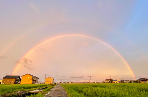 空からの贈り物 | 岡山市　中村さん