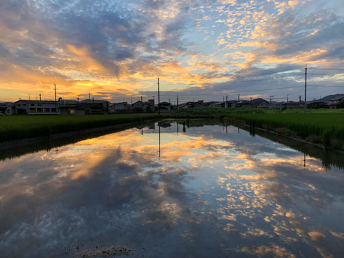 休耕田の水に映った夕焼け空 | 総社市　吉澤さん