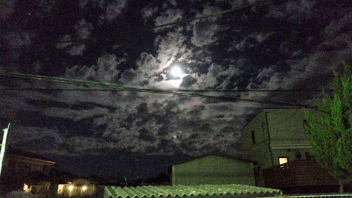 叢雲の名月 | 玉野市　中村さん