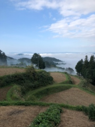 仙人になった気分 | 美咲町　杉山さん