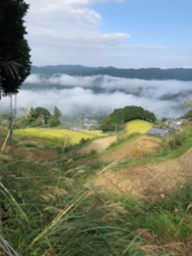 仙人になった気分 | 美咲町　杉山さん