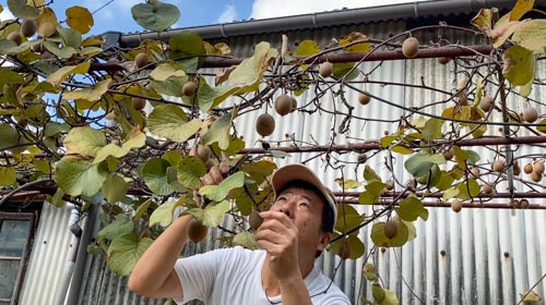 どれにしようかなぁ? | 岡山市 松本さん