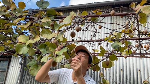 どれにしようかなぁ？ | 岡山市　松本さん