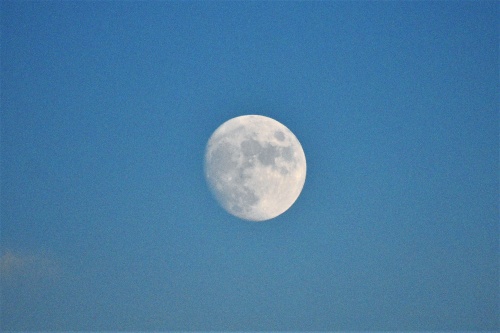 月が出た出た十三夜 | 高松市　泉本さん