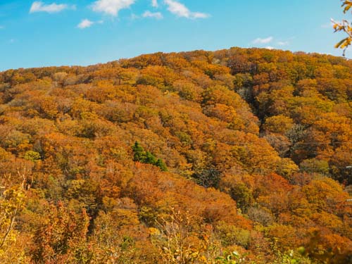 紅葉にいこうよ | 備前市 早川さん