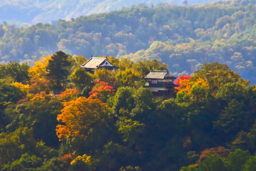 紅葉 | 高梁市 赤坂さん