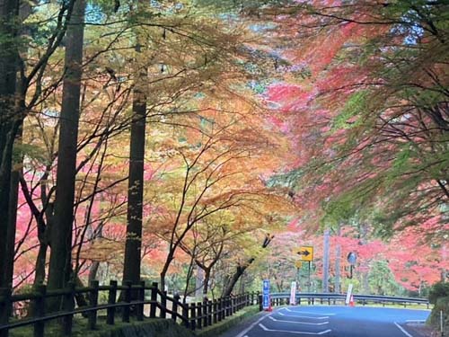 紅葉観賞 | 倉敷市 沼田さん