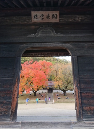 楷の木紅葉 | 備前市 土橋さん